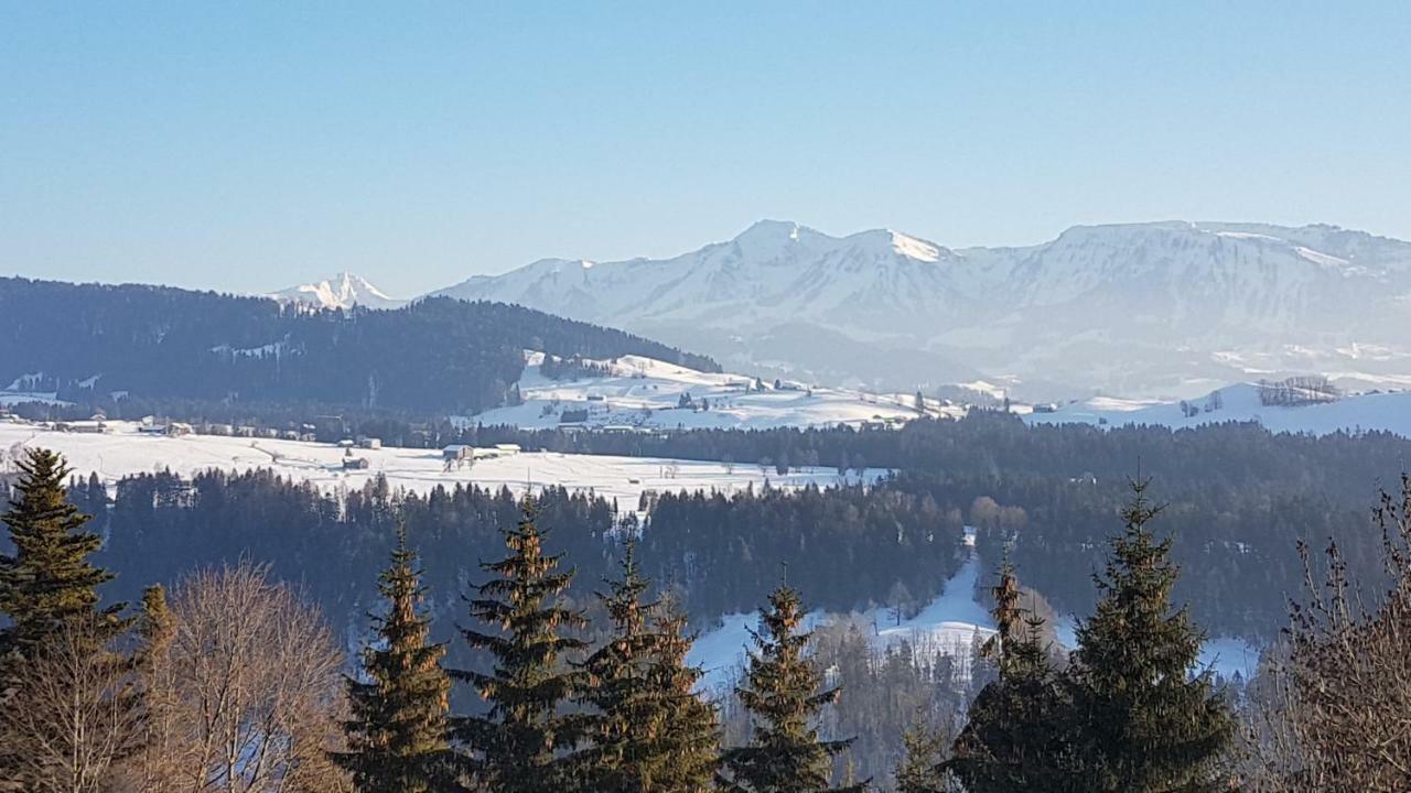 Ferienwohnung Sinz Doren Kültér fotó